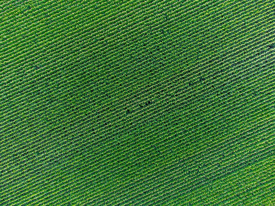 Agricultural drone