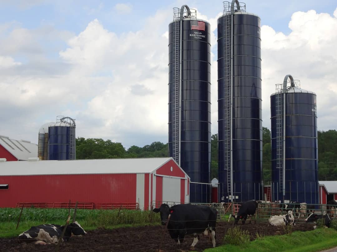 Photo Vertical farming